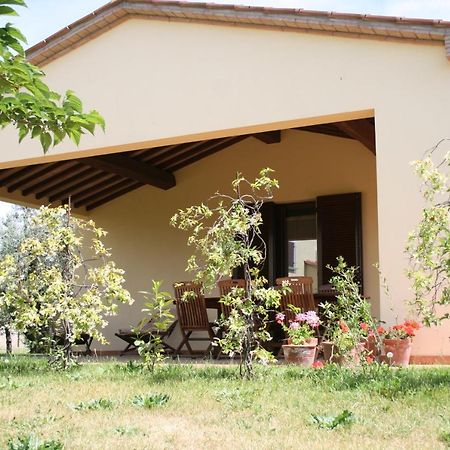 Graziosa Casetta Con Piscina Castagneto Carducci Kültér fotó
